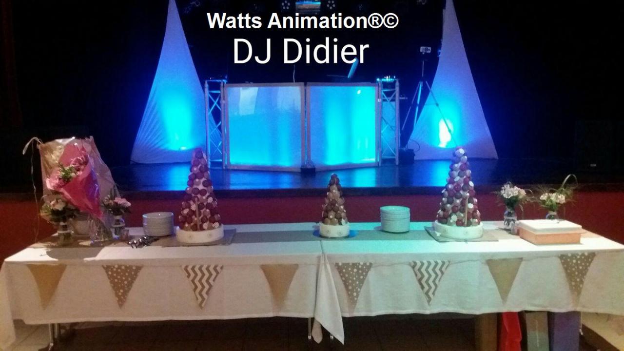 watts animation dj .